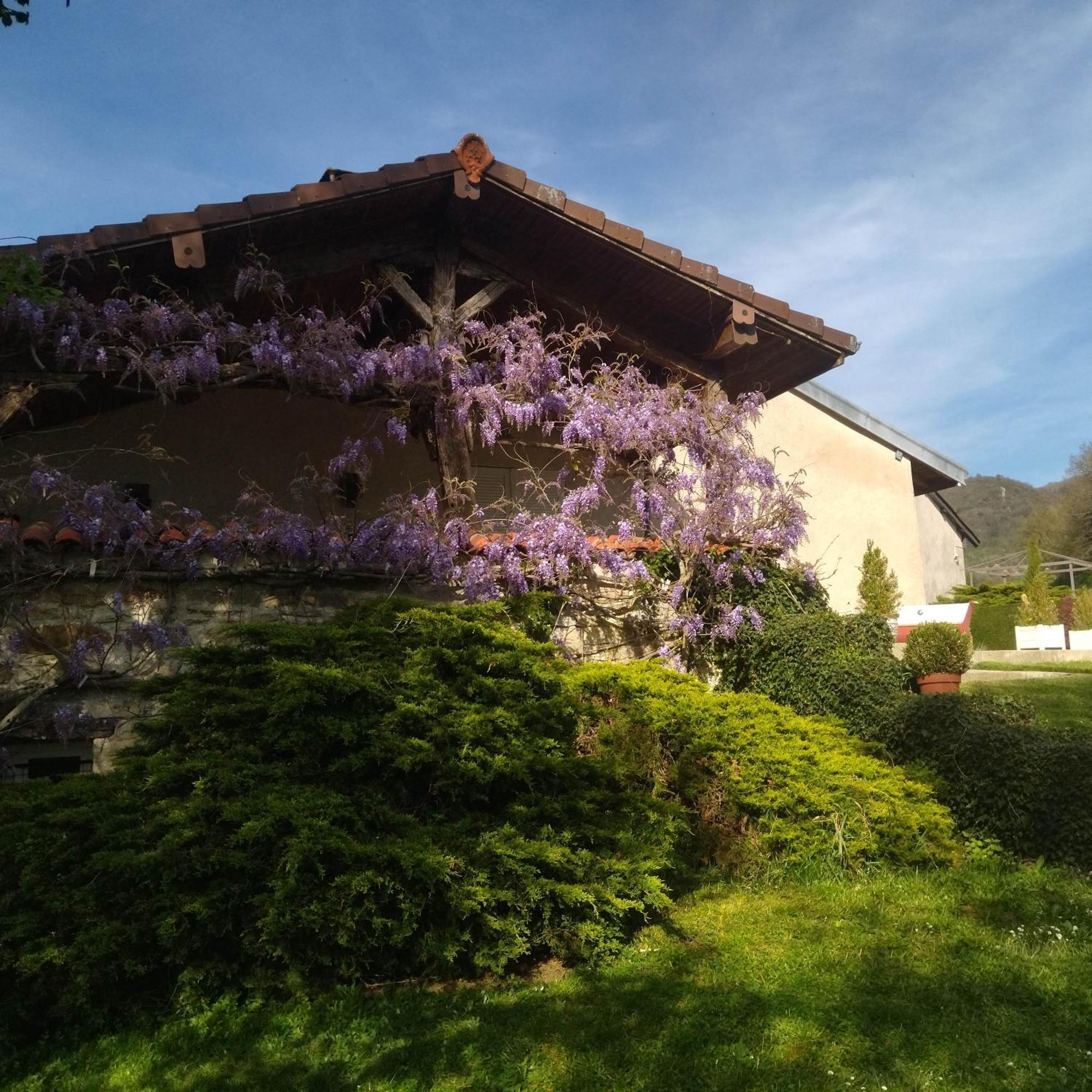 Gite de l'Ancheronne Lavans-sur-Valouse Extérieur photo