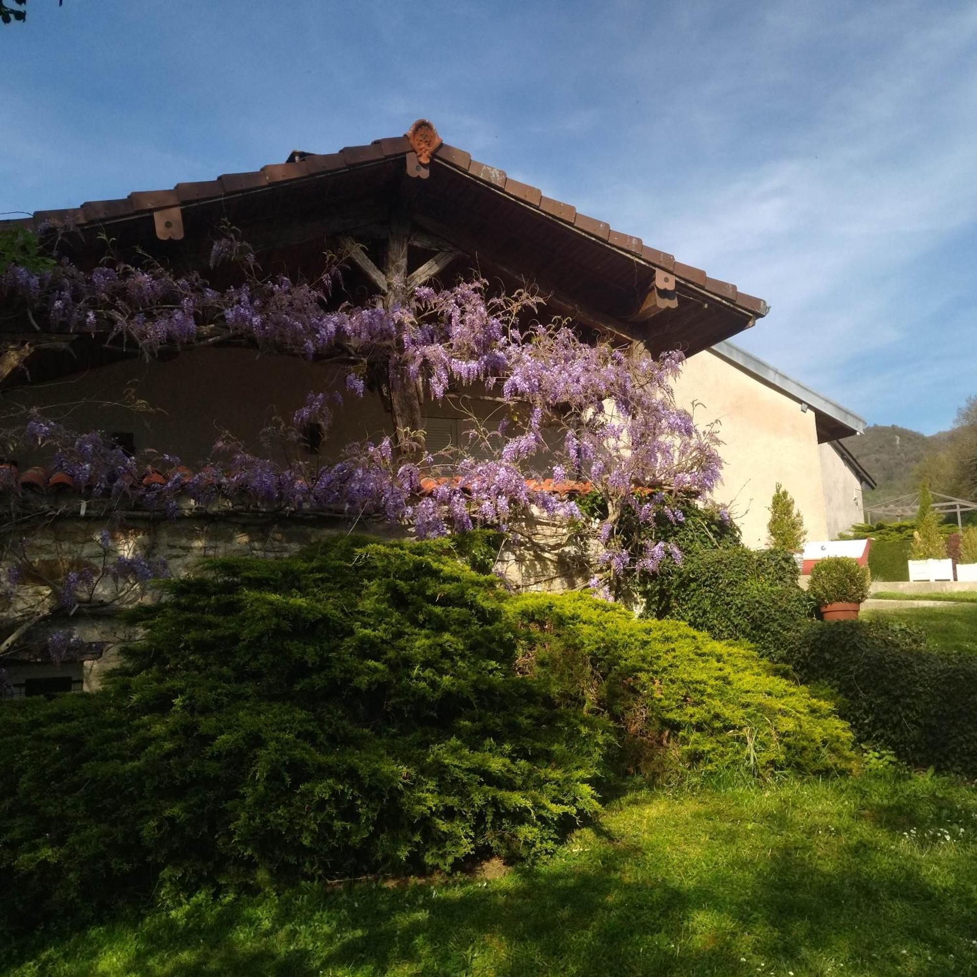 Villa Gite de l'Ancheronne à Lavans-sur-Valouse Extérieur photo